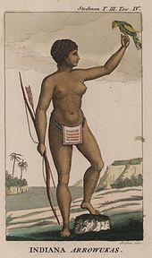 Wikipedie - Indiánka z kmene Arauaků